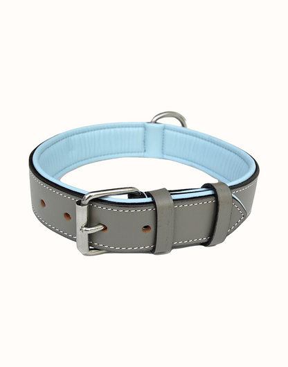 Cut Dog Collar