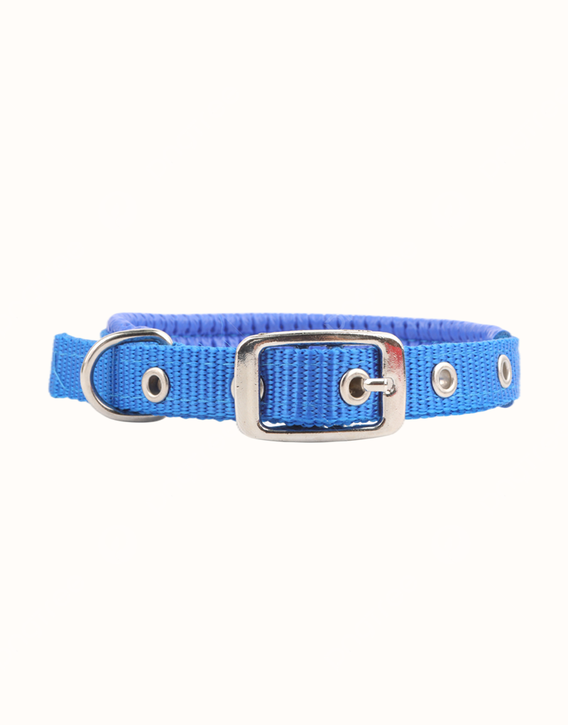 Cut Dog Collar